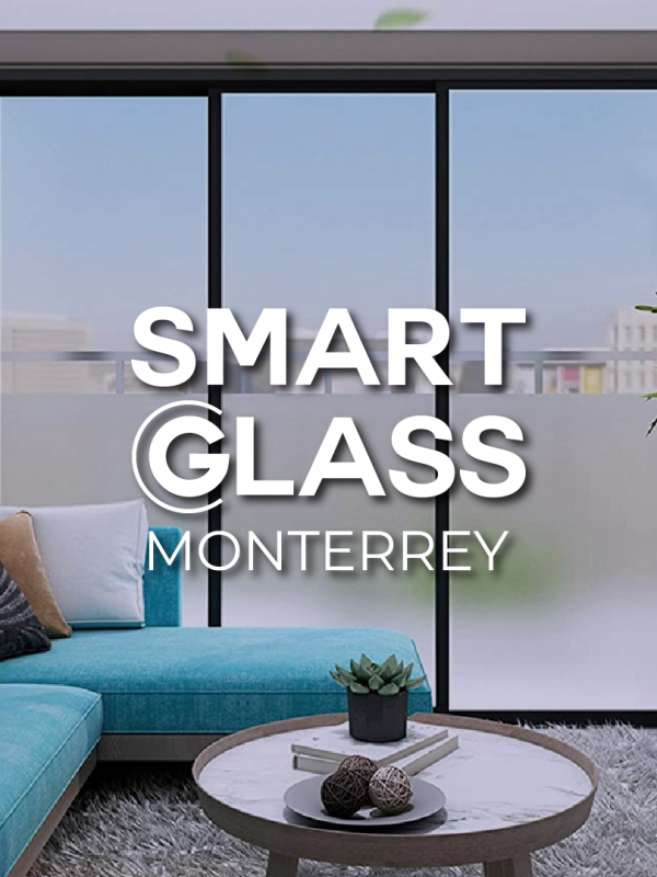 smart glass_sn (2)